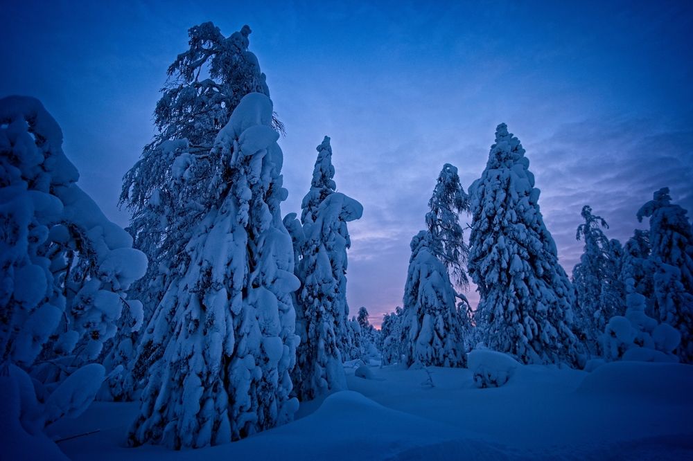 Photograph by Игорь Щербаков