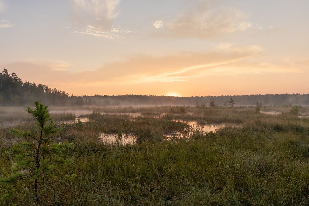 Photograph by Александр Степанов