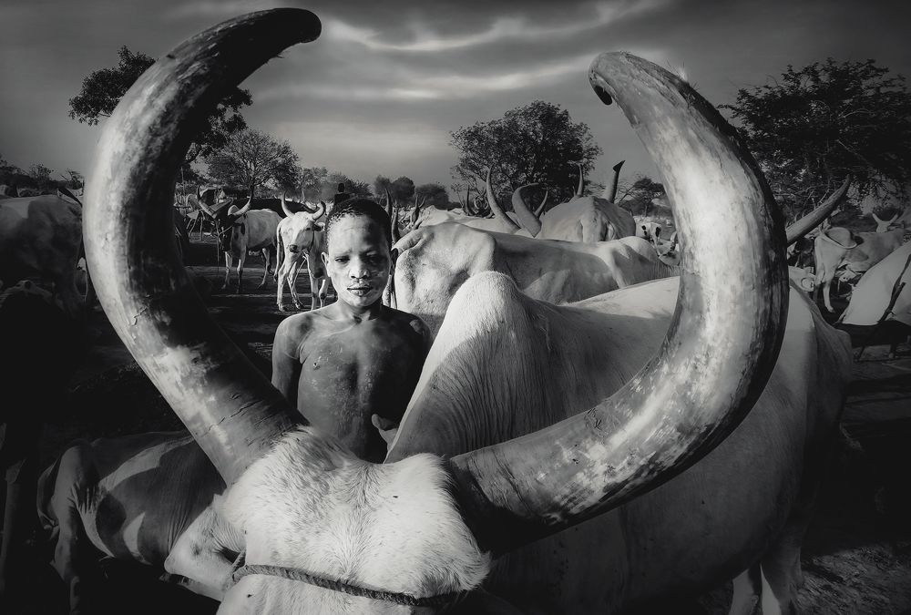 Фотография автора Svetlin Yosifov