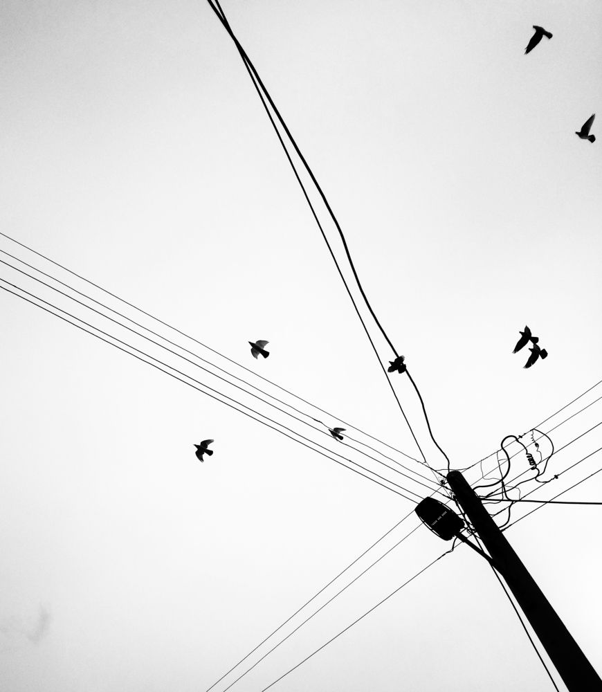 Photograph by Sina Saadati