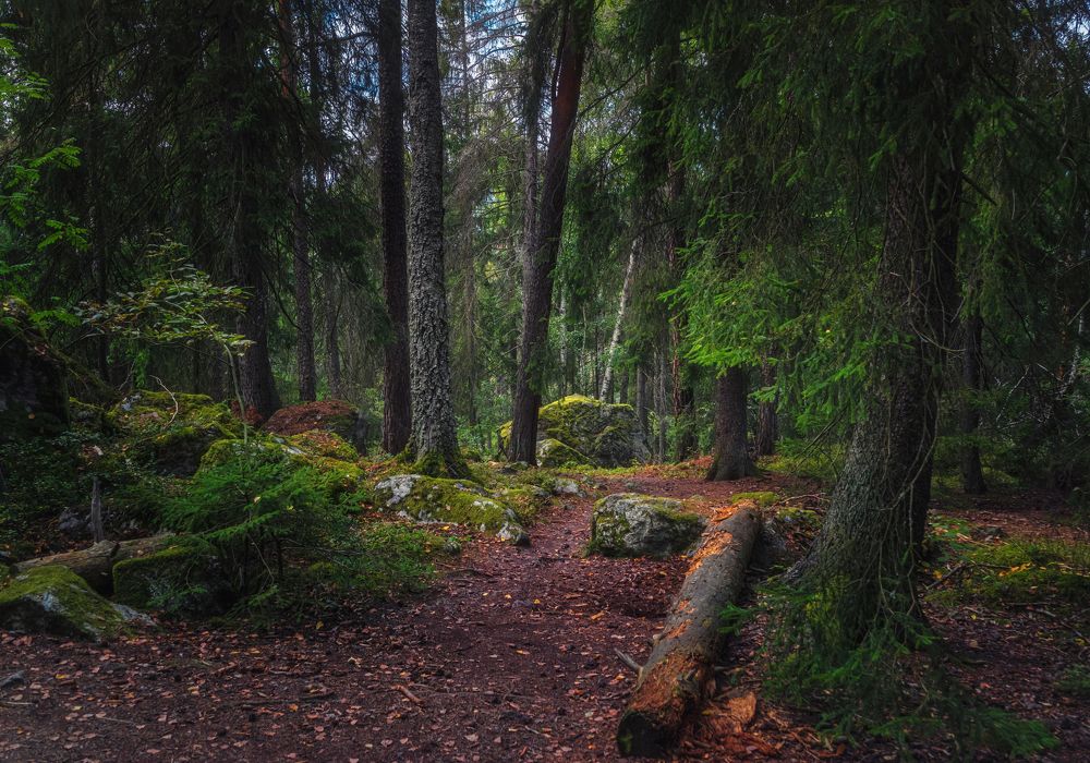 Photograph by Андрей Ожерельев