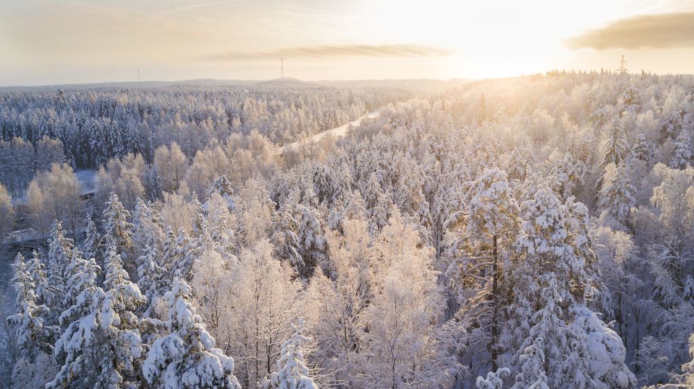 Photograph by Вадим Сташкевич