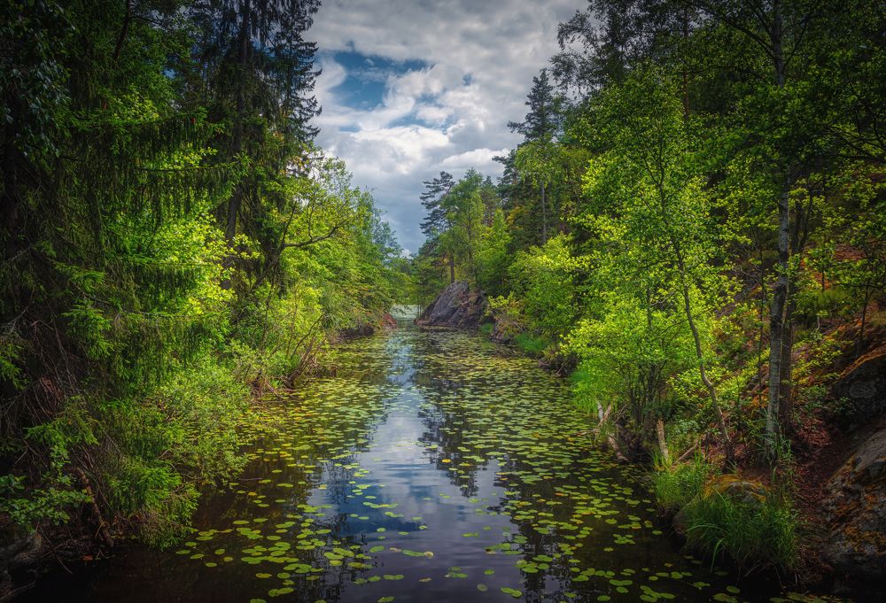 Photograph by Андрей Ожерельев