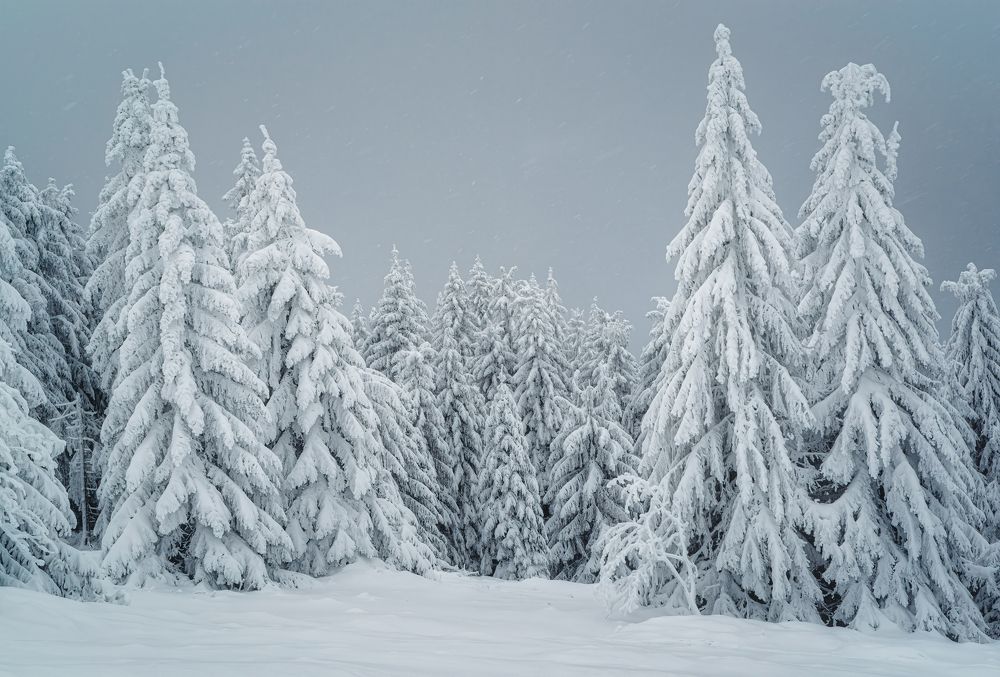 Photograph by Андрей Ожерельев