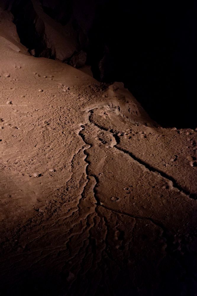 Photograph by Светлана Суворова