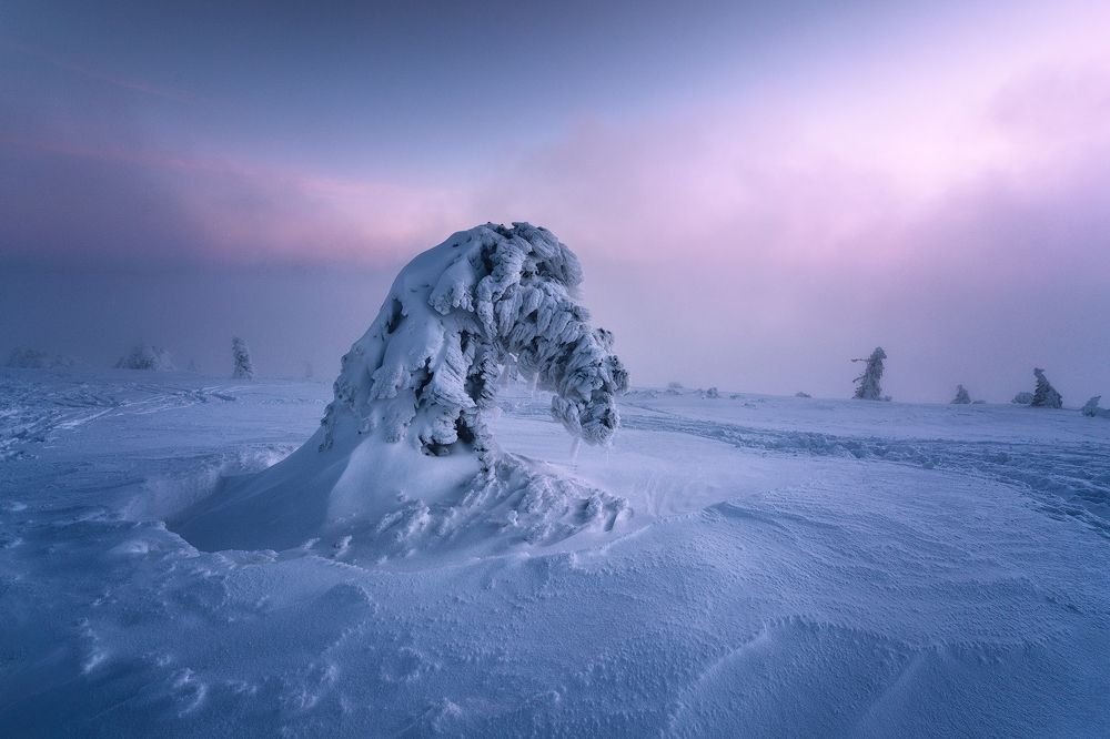 Photograph by Piroska Padar