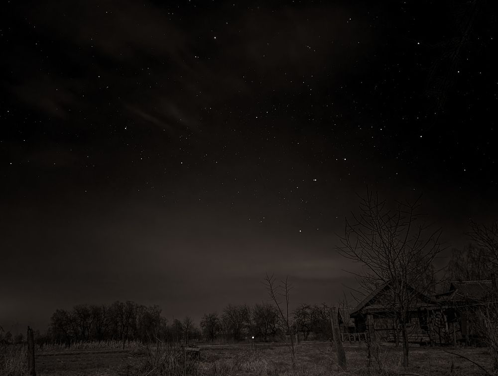 Photo #8746049