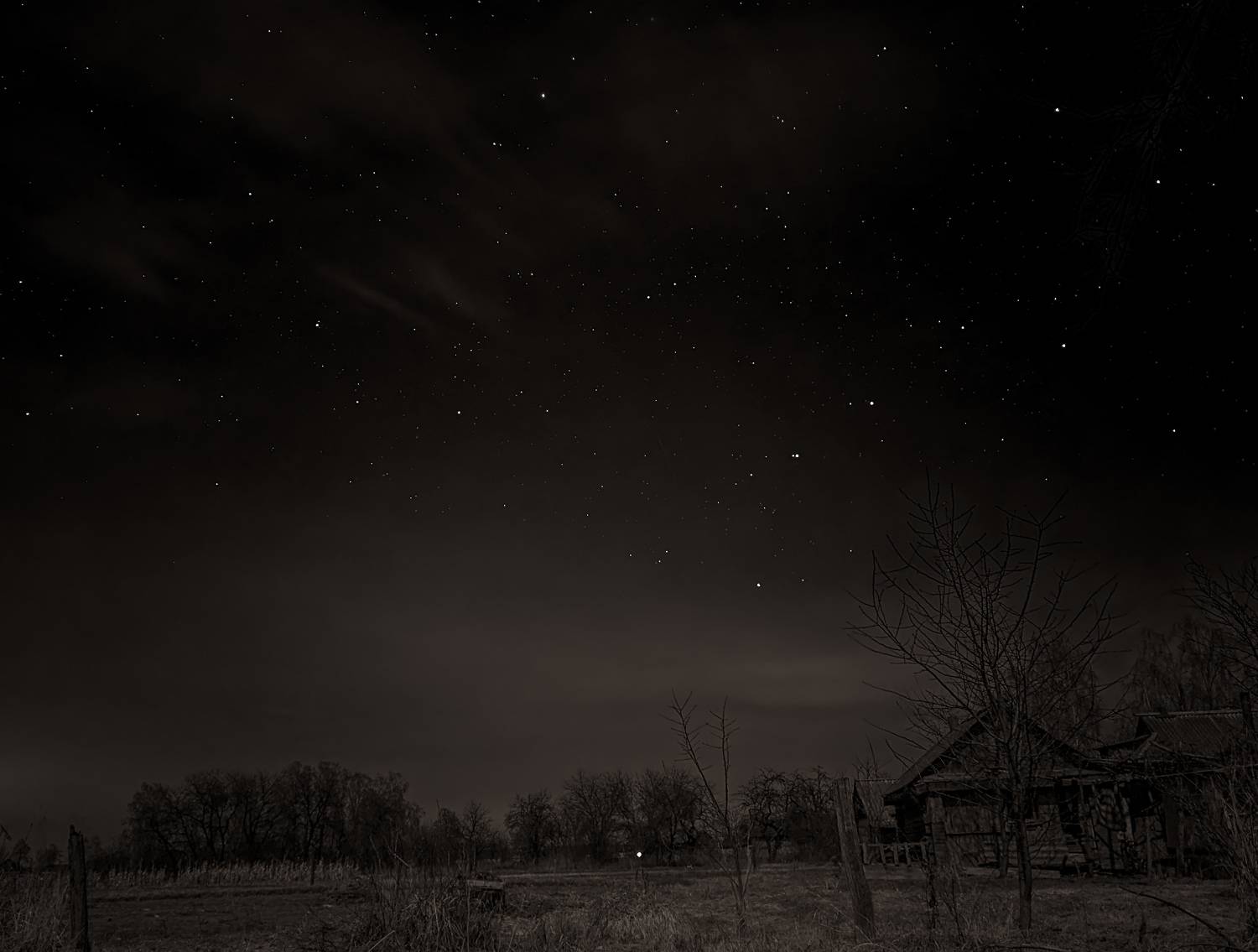 Photo #8746049