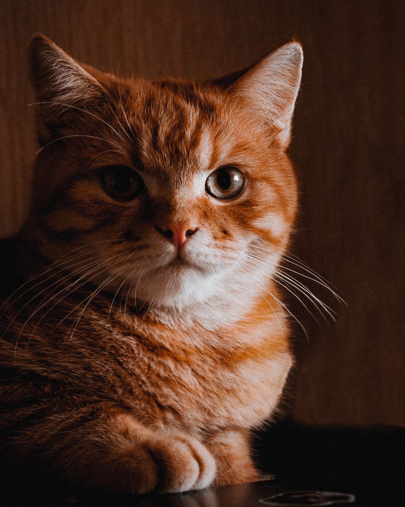 Photograph by Сергей Антонов