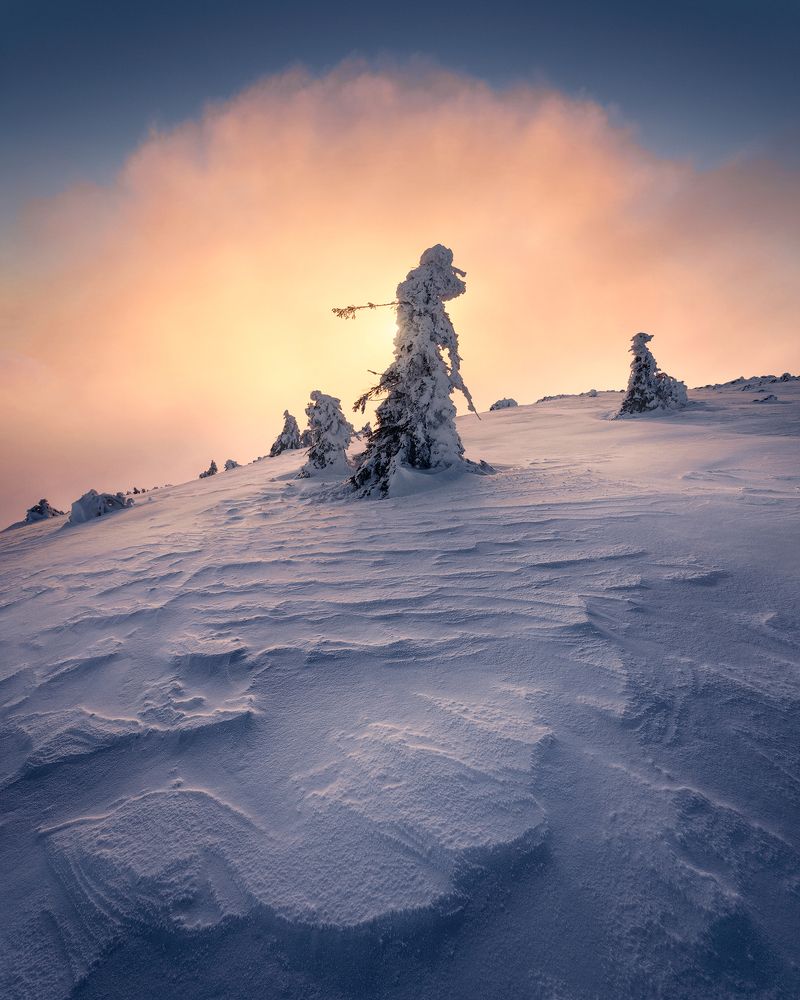 Photograph by Piroska Padar