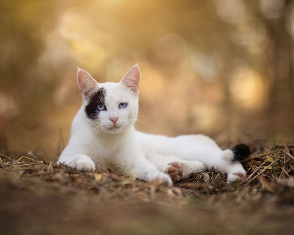 Photograph by Angie Perisse