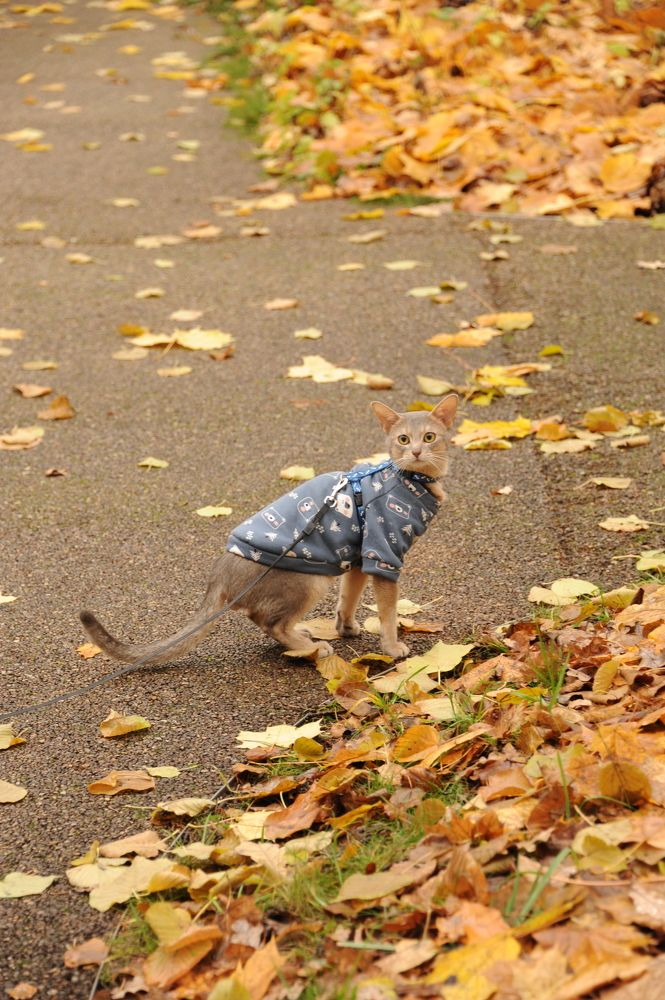 Photograph by Татьяна Ермошина