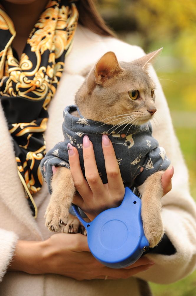 Photograph by Татьяна Ермошина