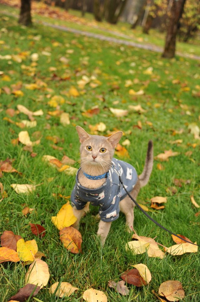 Photograph by Татьяна Ермошина