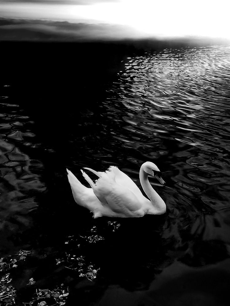 Photograph by Александр Деркач