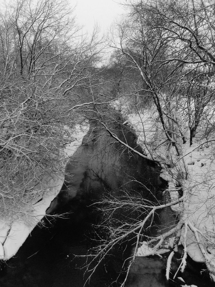 Photograph by Ольга Пришедько
