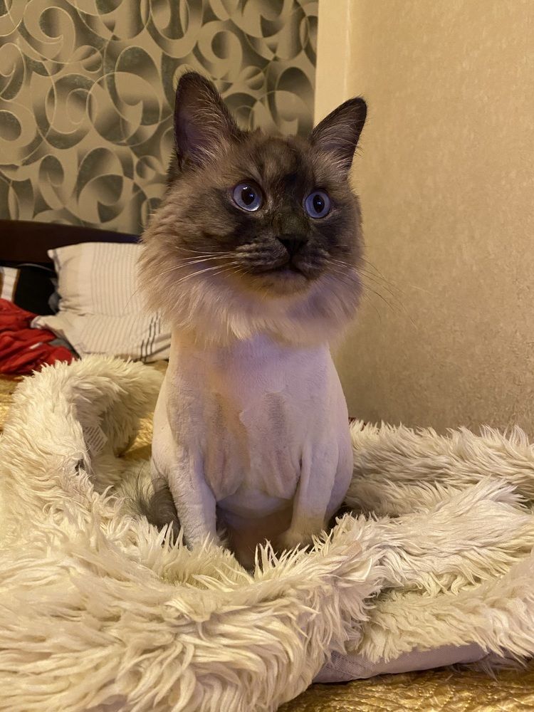 Photograph by Наталья