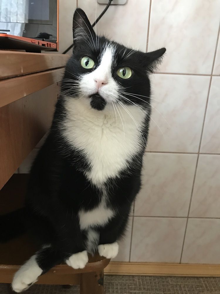 Photograph by Наталья