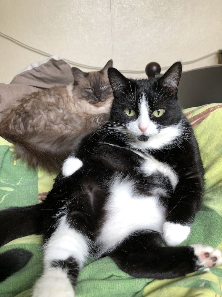 Photograph by Наталья