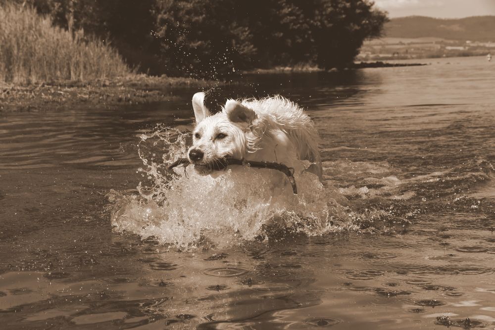 Photograph by Светлана Ивановна