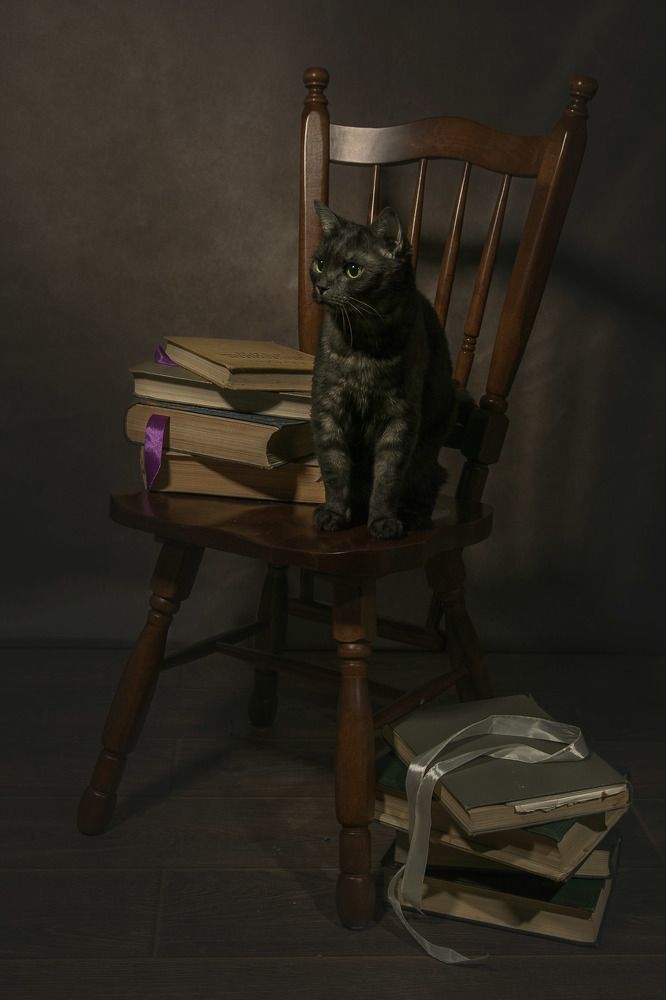 Photograph by Анастасия Фатеева