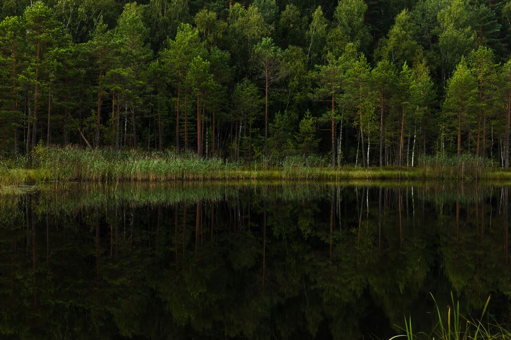 Photograph by Александр Степанов