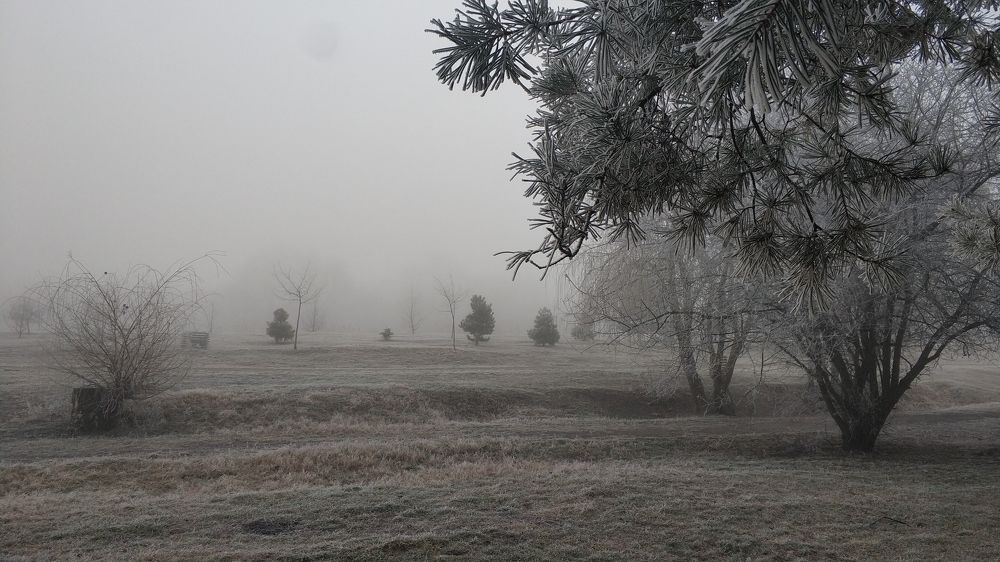 Photograph by Alexander Usenko