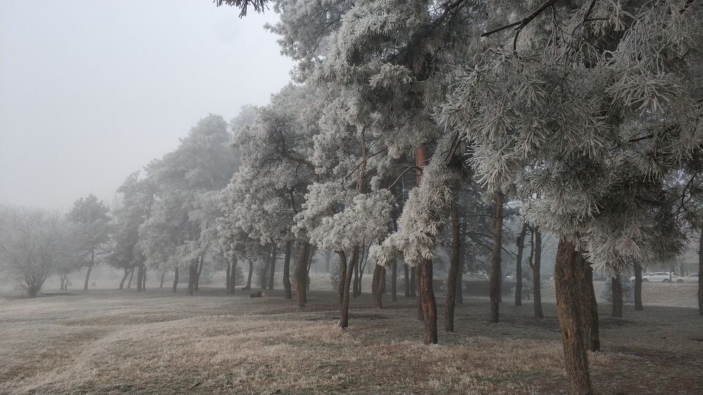 Photograph by Alexander Usenko