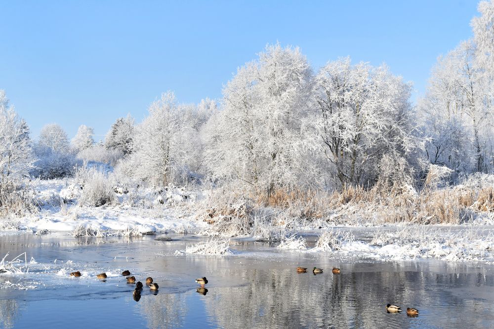 Photograph by Aušrinė Bui