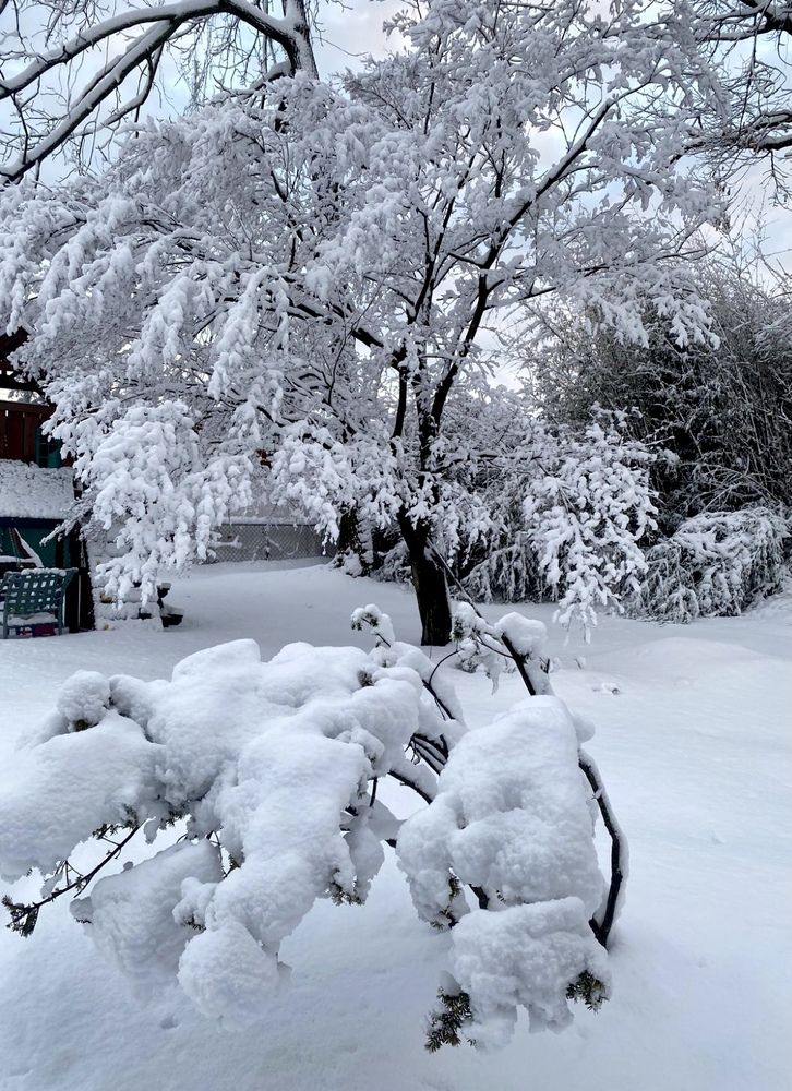 Фотография автора Ираида Гайфуллина