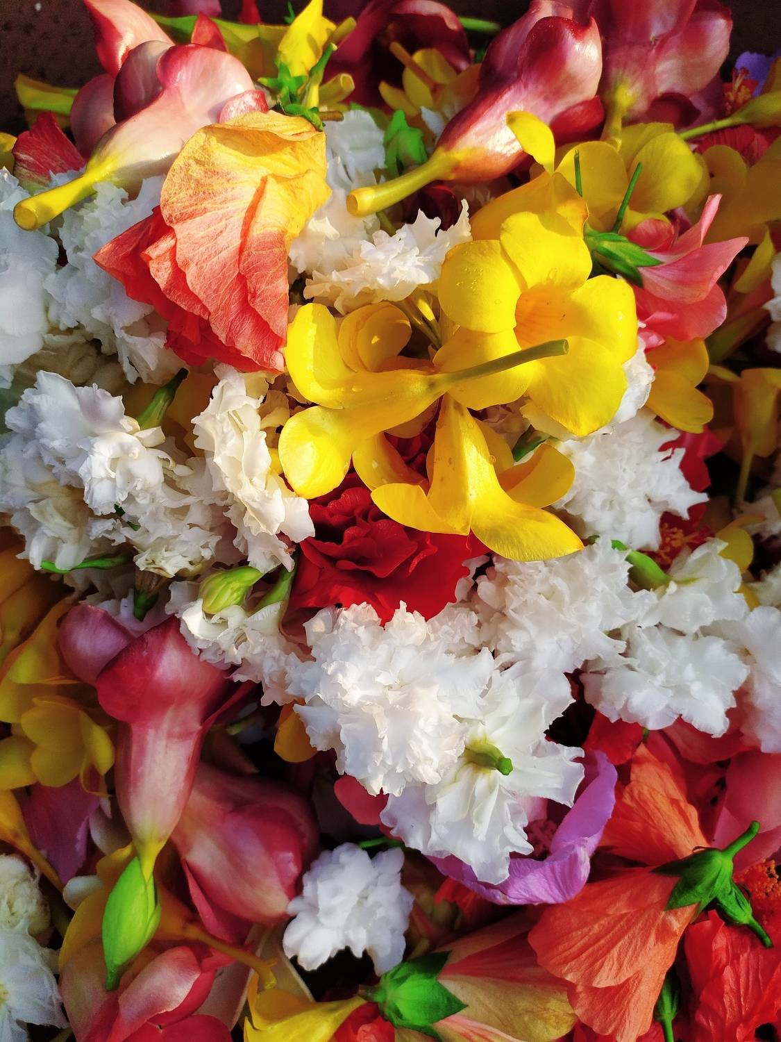 Photo #8746383