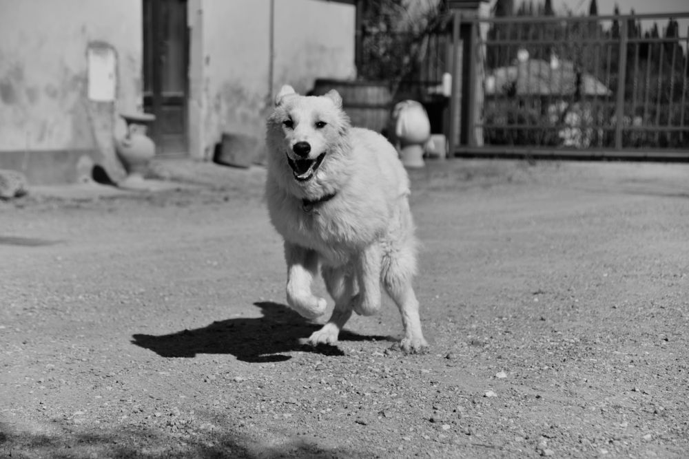 Photograph by Светлана Ивановна