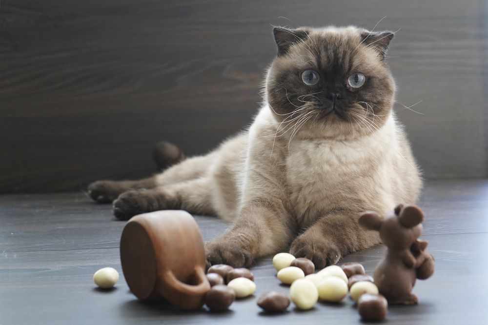 Photograph by Любовь Прохода