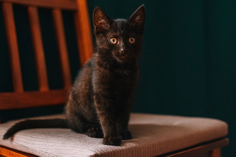 Photograph by Kamil Stępień