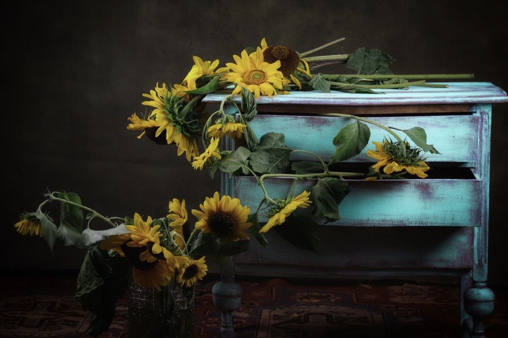 Photograph by Meliha Suskavcevic