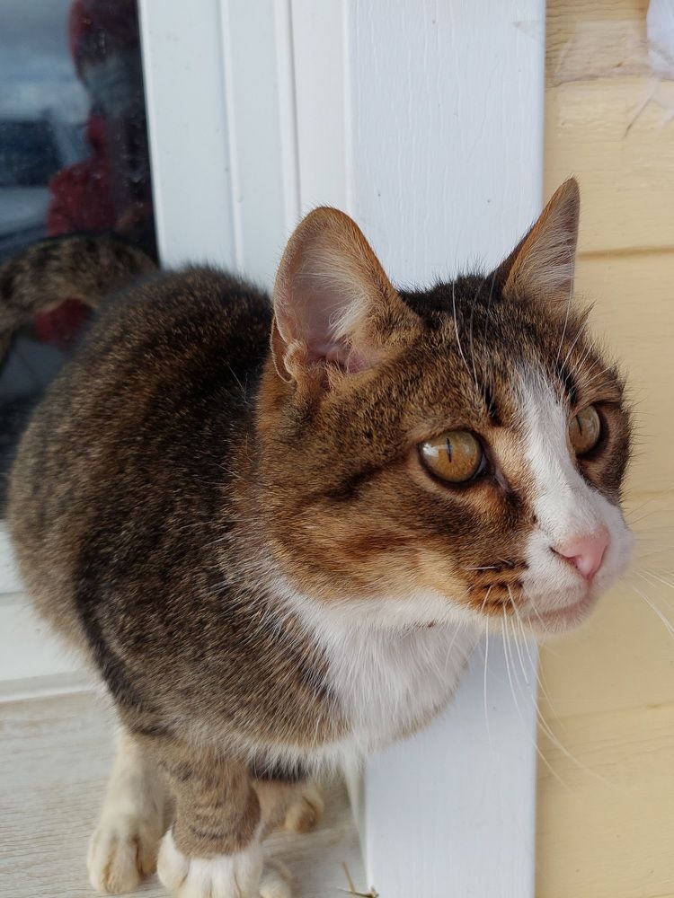 Photograph by Елена Тимченко