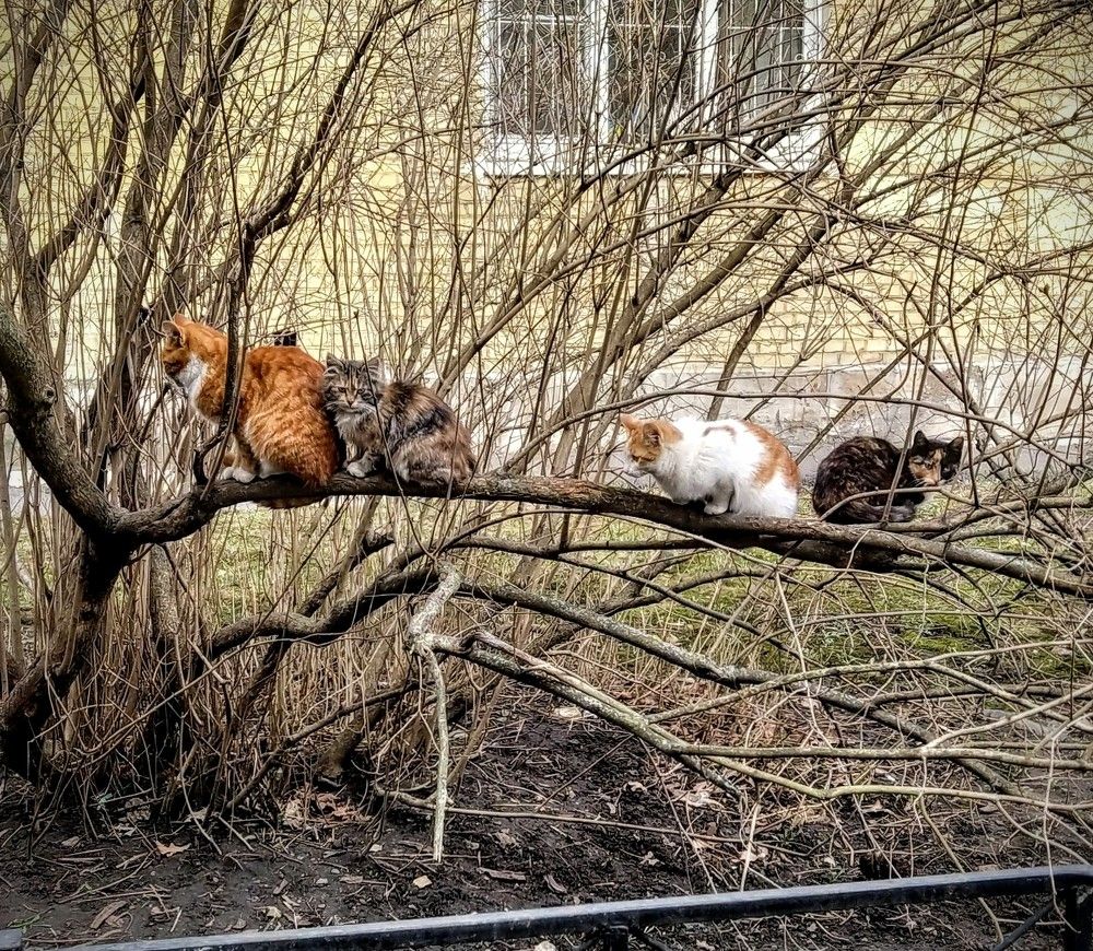 Photograph by Ольга Белик