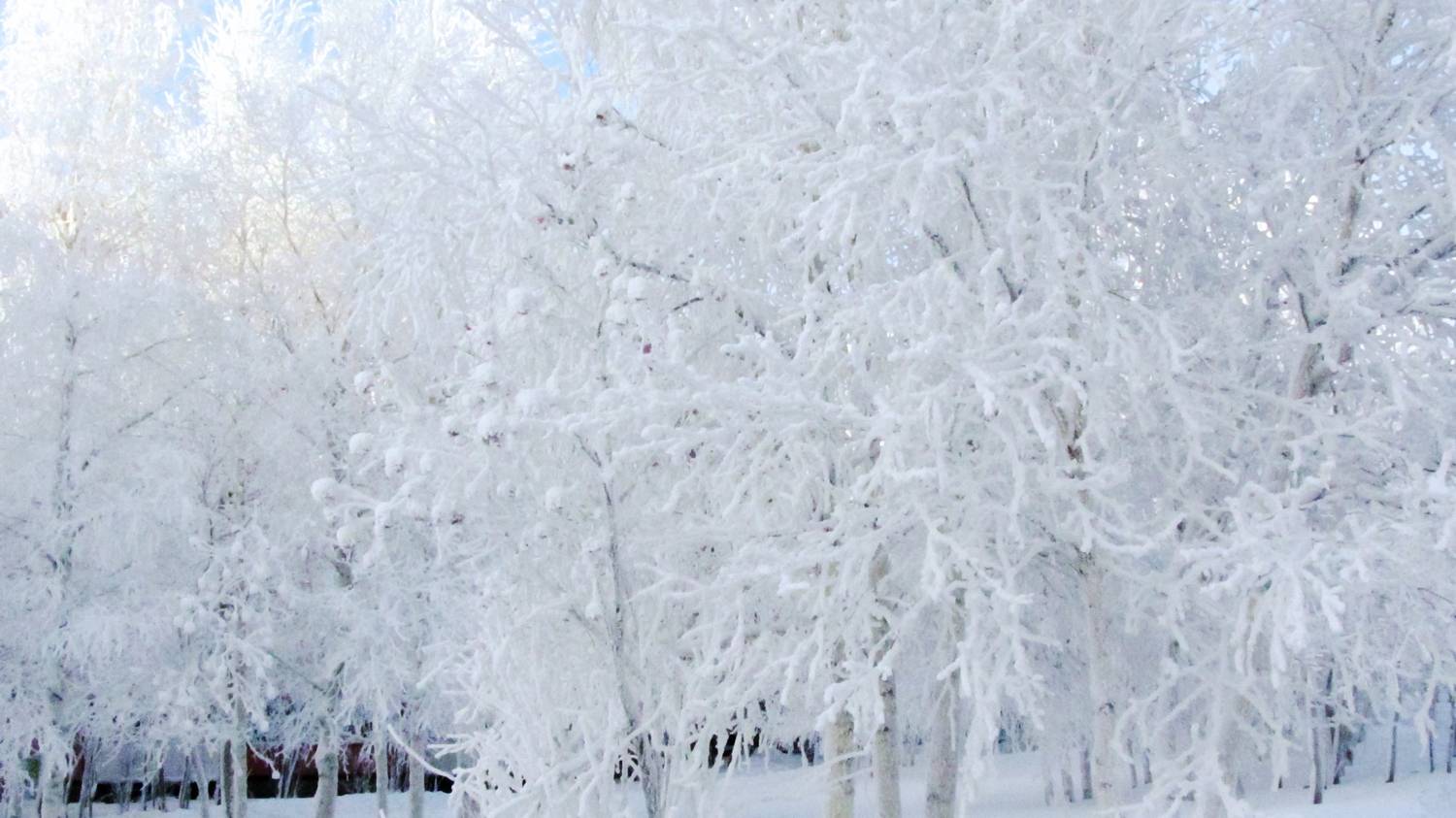 Морозная зима