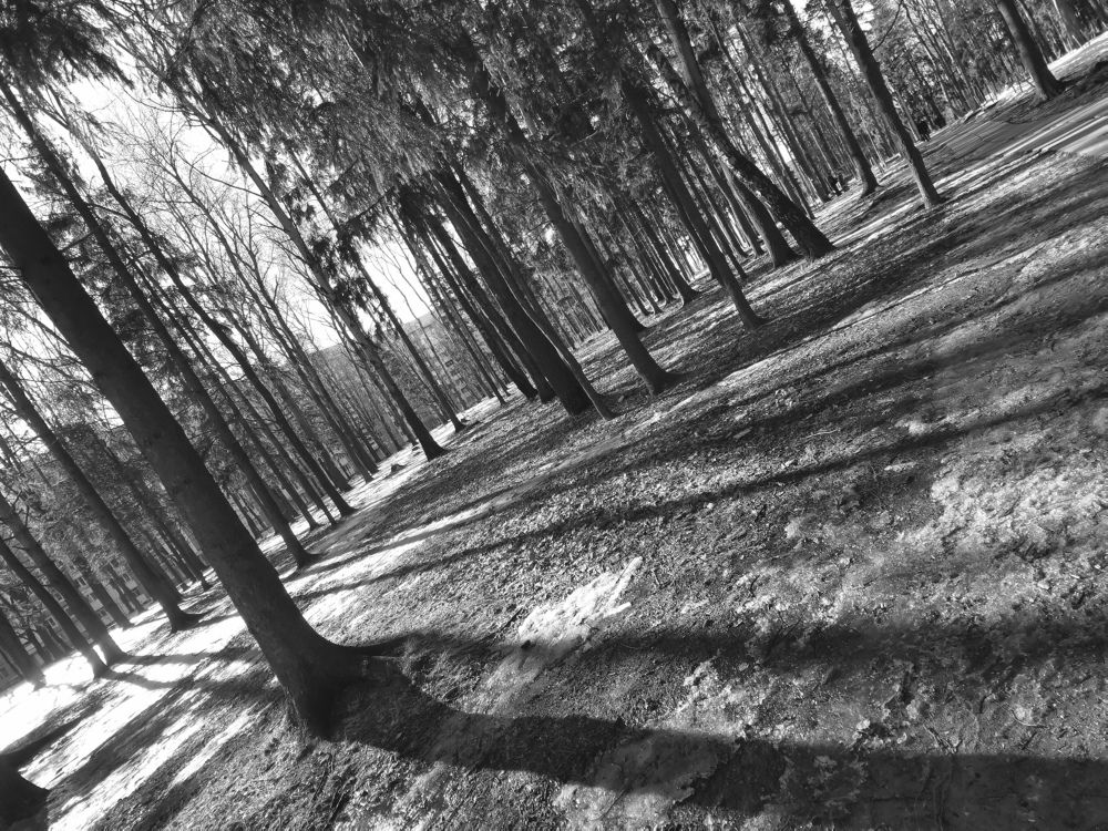 Photograph by Людмила Орловская