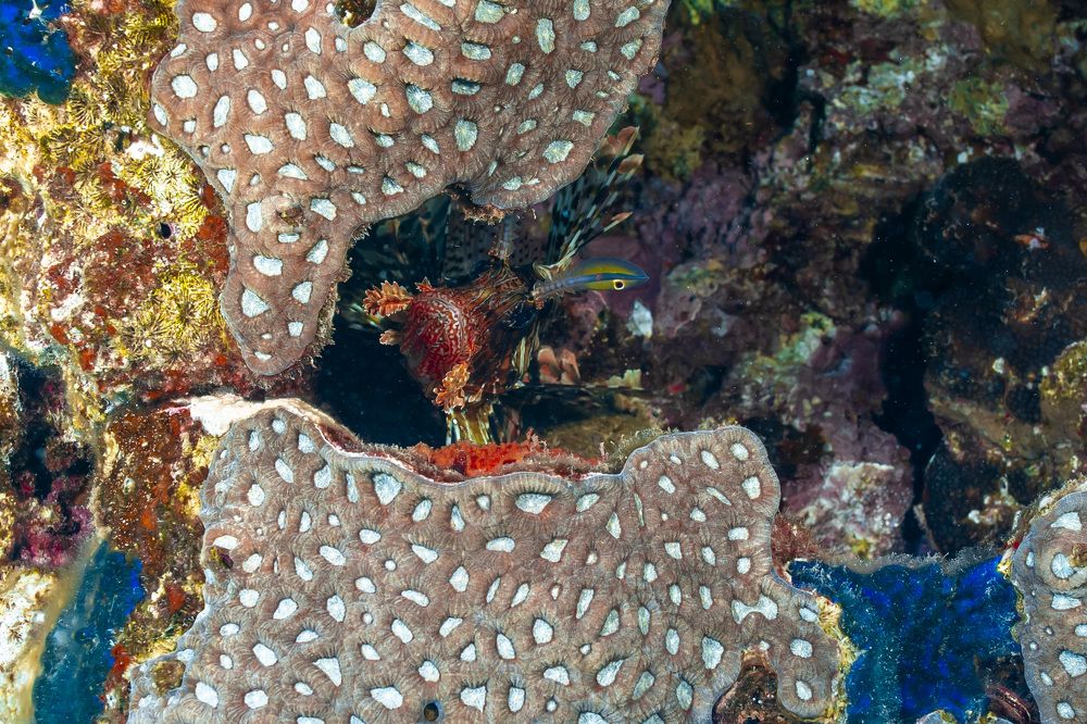 Photograph by Aleksander Goldshtein