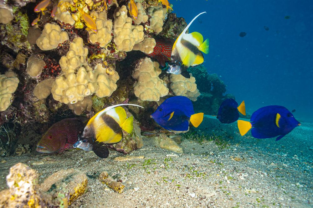 Photograph by Aleksander Goldshtein