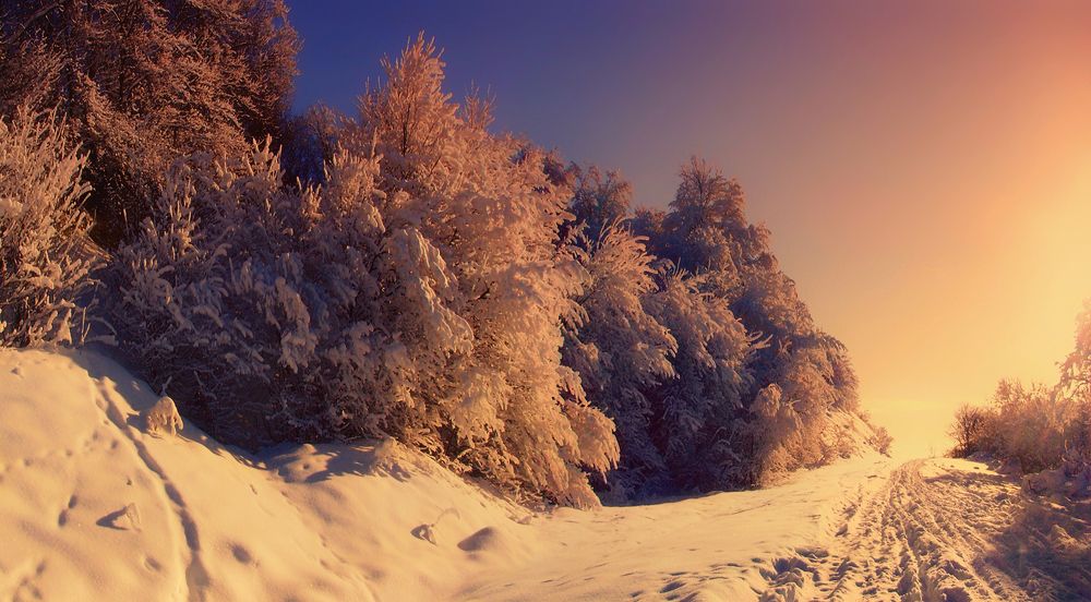 Photograph by Владимир