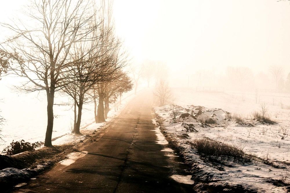 Road in winter sunlight