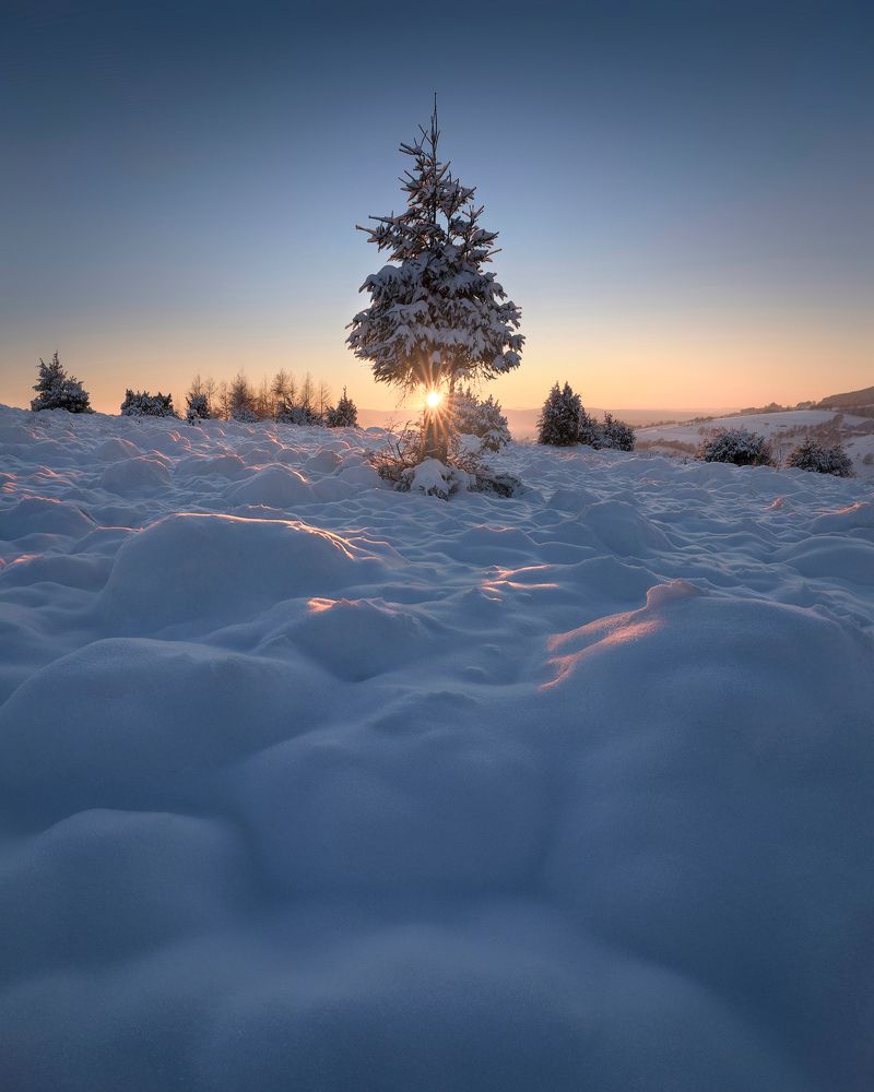 Photograph by Piroska Padar