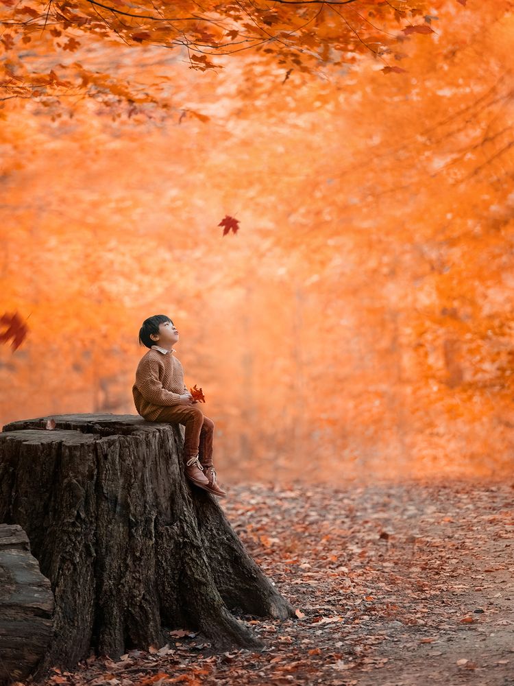 Photograph by Lu Huang