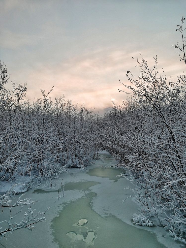 Photograph by Анастасия Зайцева