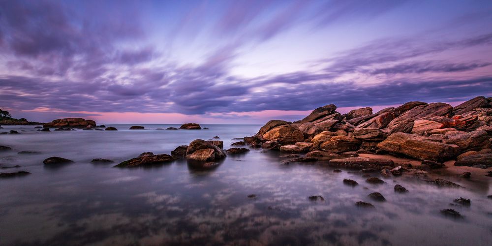 Photograph by JUANITA MARCHESANI