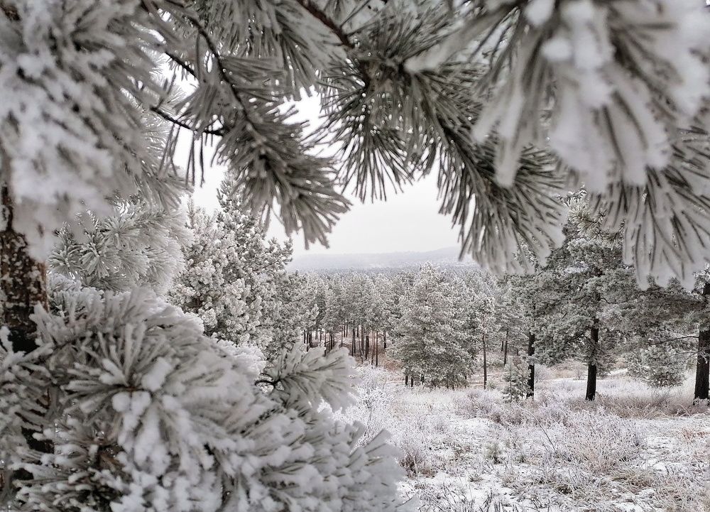 Photograph by Светлана Шелухеева