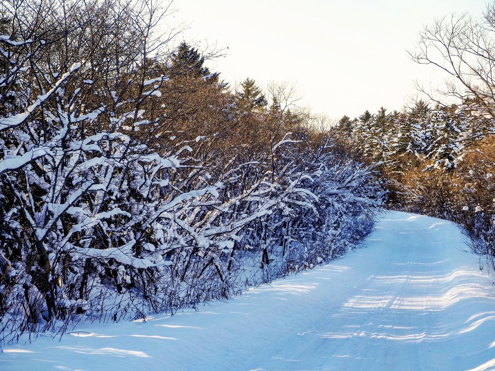 Фотография автора Olena Vorotyntseva