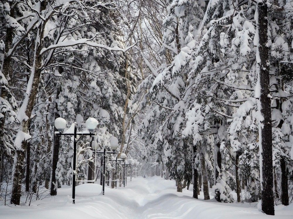 Фотография автора Olena Vorotyntseva